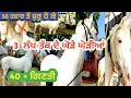 Marwari Horse in INDIA shri muktsar mela ਲੋਪੋ ਵਾਲਾ ਸਰਪੰਚ   FARMING BRAIN