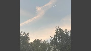 incredibly weird and ridiculously off-putting