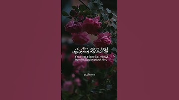 سورة القلم إسلام صبحي #قرآن
