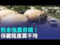 「保麗龍屋」挺過熊本7.3強震！相當於扛住46顆原子彈能量？戰車塗料加持　揭密超級圓頂屋! ｜消失的國界｜三立新聞LIVE