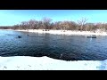 Water-skiing on the Mississippi River in March