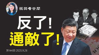【第144期】朱慧民被查,習近平奪錢袋子。江曾孟搞了三個硬盤,與習近平王岐山火拼,川普會上當嗎?| 薇羽看世間 20200926