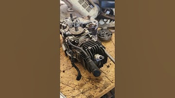 Stihl 201TC Top End Rebuild