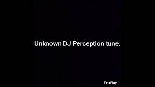 DJ Perception - Unknown UK Garage tune.