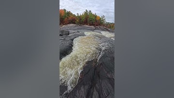 Autumn Trees Along the River Trail | Wild Adventurz Vibes: Fall Foliage & Water Ambience