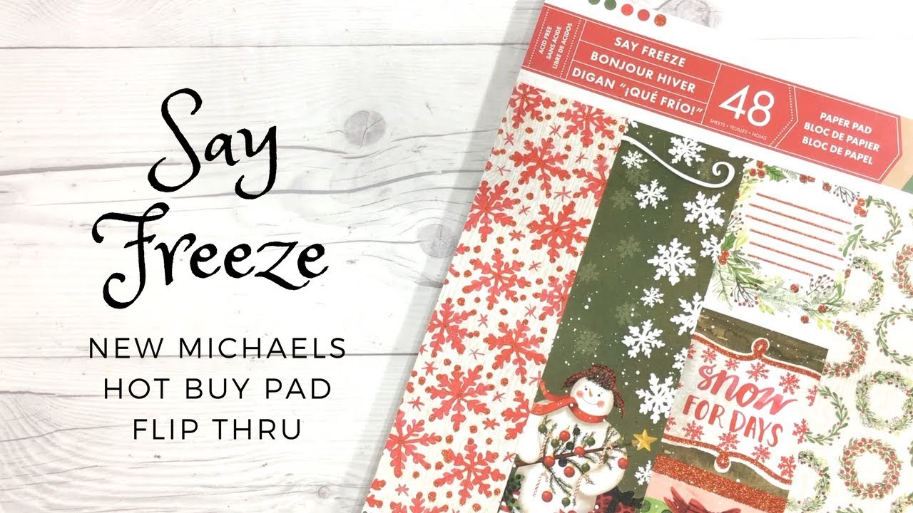 Say Freeze - NEW Michaels Hot Buy - Flip Thru