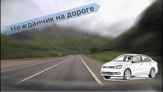 Нежданчик на дороге