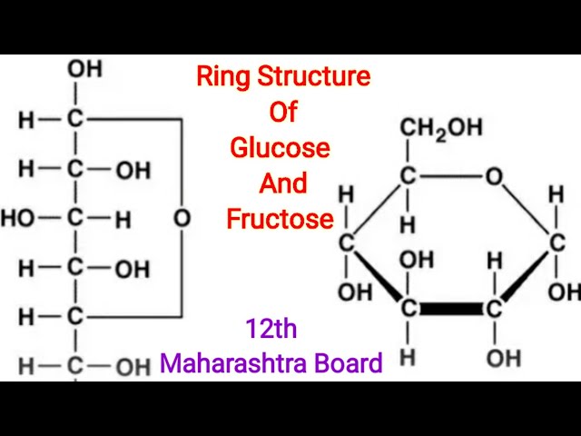 Solved 1.Draw Haworth structures for the two possible | Chegg.com