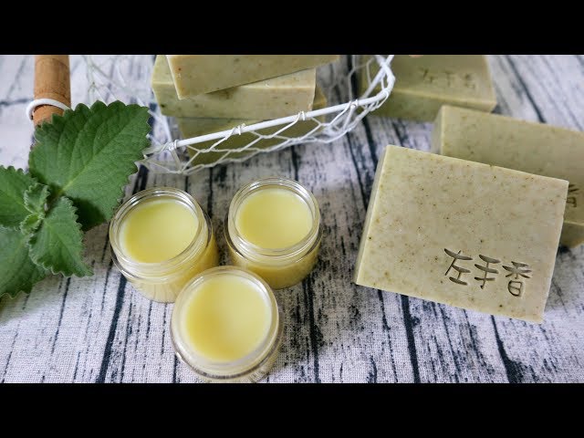 左手香皂&左手香膏DIY - How to make herbal soap and ointment with Indian Borage