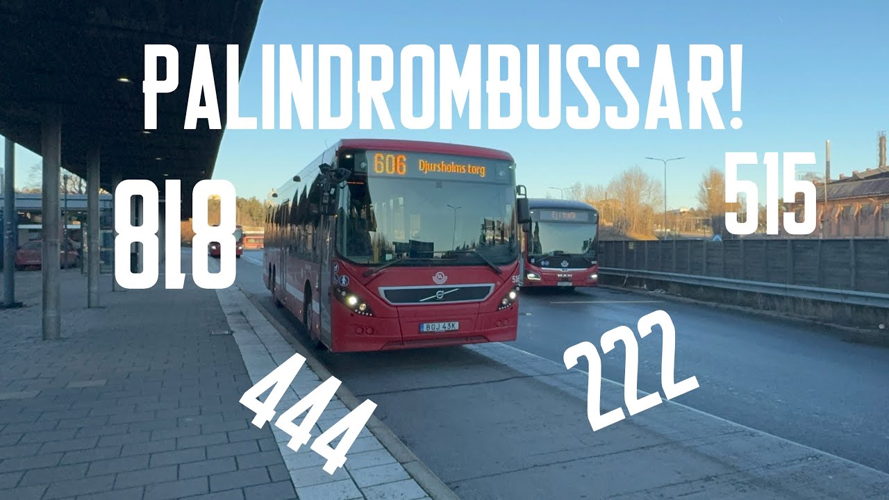 Palindromhjulet - Del 2!