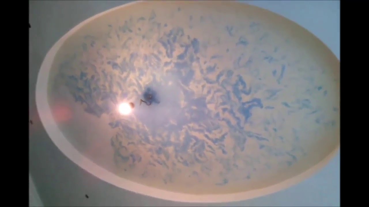 Отделка потолка шелковой штукатуркой SILK PLASTER / мастер-класс от ...