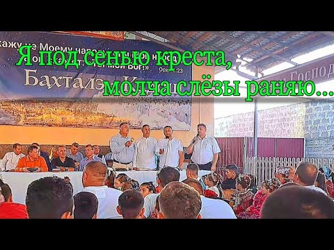 Я под сенью креста