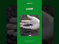 Gardening Word of the Day - Loam #gardening #garden #gardeningtips #shorts