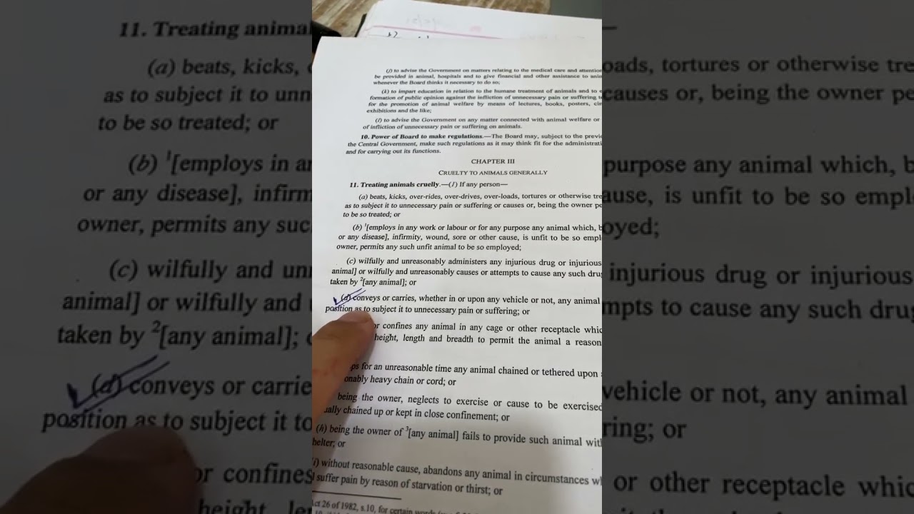 Flying Beast Instagram Story | Gaurav Taneja | Ritu Rathee | Rasbhari Taneja Insta Story