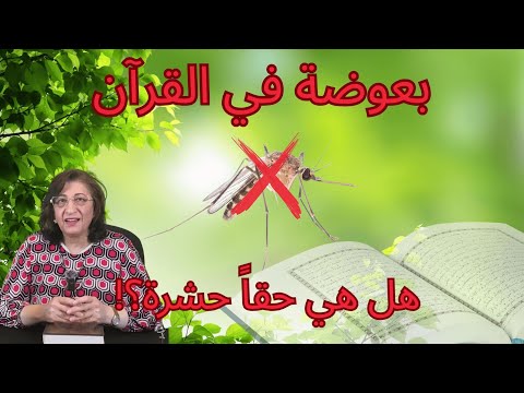 ما معنى بعوضة في القرآن هل هي حشرة وما علاقة البعوضة بالمثل بسمة أبو عبدو