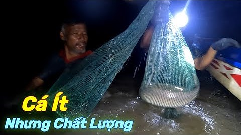 Săn Cá Ngát Địa Điểm Mới 2 Cao Thủ Thất Thủ | Gia Đình Cần Giờ .230 |