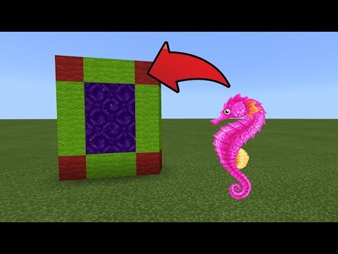 How To Make a Portal to the Seahorse Dimension in MCPE (Minecraft PE)
