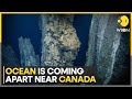 Nearly 2000 earthquakes shake canadas vancouver island in one day  wion news