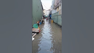 nước lên ngập chợ long xuyên an giang #shorts #shortvideo