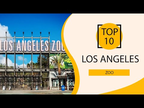 Vídeo: Zoo em los angeles