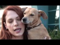 Hot Amanda Righetti from The Mentalist being Beautiful and Sexy Adopting dogs