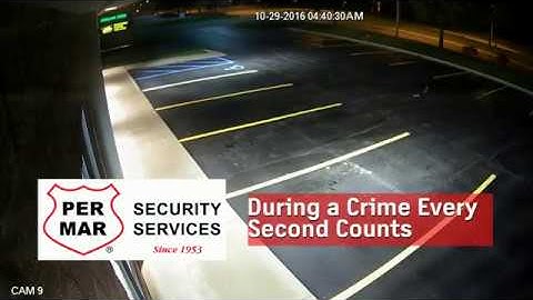 Video Alarm Verification