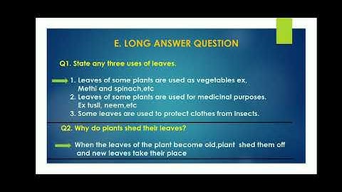 Class 3 Chapter 3 Leaf☘️☘️D,E and Value Based Question and answer.