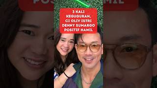 Istri Denny Sumargo Positif Hamil