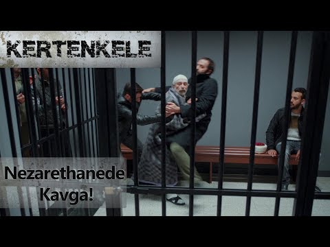 Nezarethanede kavga! - Kertenkele