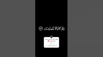 #سورة #القران_الكريم #الفاتحة #تلاوات_خاشعة #explore #qs #قرآن #quran #آية #تلاوة #NQ55