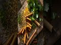 Healthy Indian Food Recipes and Cooking Tips 2026