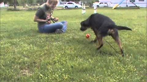 Gus The Clicked Retrieve (Session5)