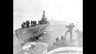 Operation Highjump   Documentary on the Navy Special Expedition to Antarctica
