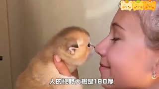 宠物小知识大盘点