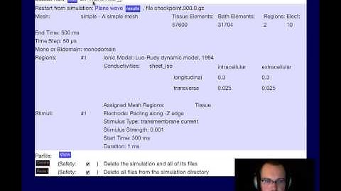 Cardiac Simulation - Monodomain Spiral (by CardioSolv)