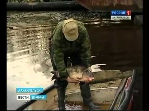 Любительское рыболовство. Шёл за семгой, а принёс...