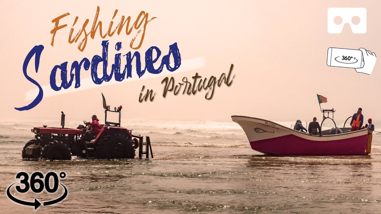 Fishing by the Atlantic Ocean Portuguese fishermen fishing sardines