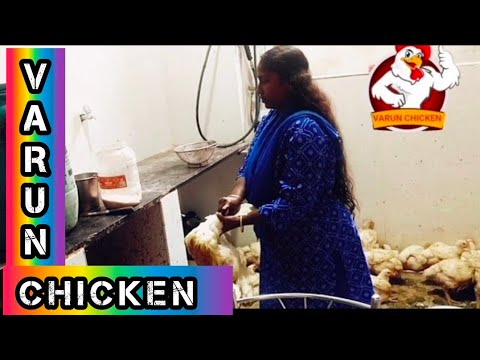 Women slaughter 2 chicken for Chicken shop customer