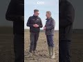 CZYSTA KUKURYDZA: SZYBKI EFEKT ✨