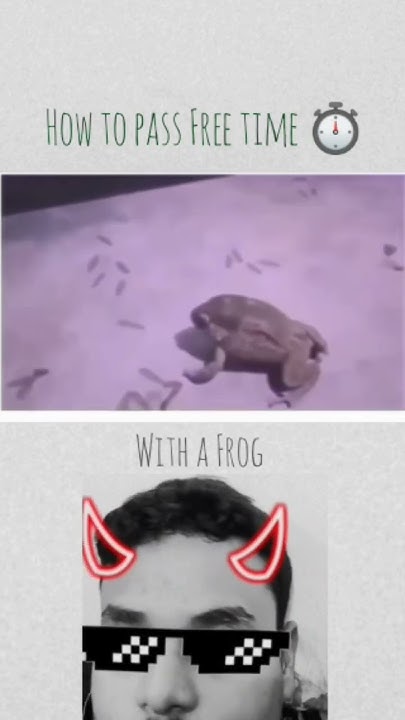 How To Pass Free Time With A Frog meme timepass frog play YouTube how-to-pass-free-time-with-a-frog-meme-timepass-frog-play-youtube