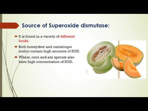 Video: Inzichten In Superoxide Dismutase 3 Bij Het Reguleren Van Biologische En Functionele Eigenschappen Van Mesenchymale Stamcellen