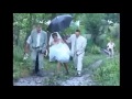 Приколи на Весіллях  Fun at the wedding