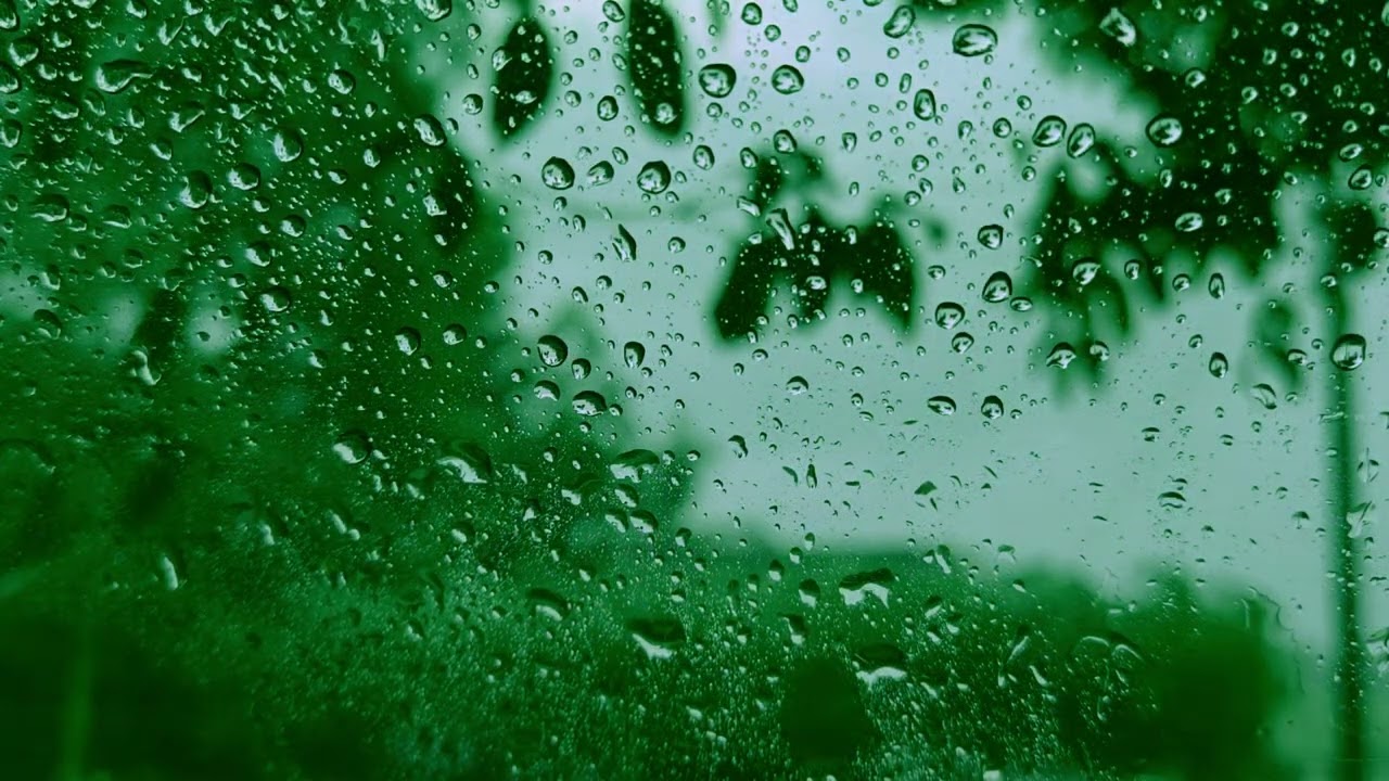 Go to Sleep with Rain Falling on Window | Relaxing Gentle Rain Sounds for Sleeping Problems/Insomnia
