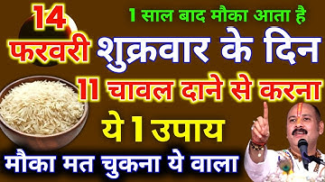 14 फरवरी फाल्गुनमास शुक्रवार द्वितीया को 11 चावल दाने वाला उपाय जरुर करें || Pradeep Ji Mishra