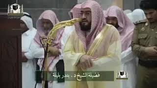 Soothing voice sheikh bandar baleela surah NAHLI MAQAM RAST 😭😭♥️
