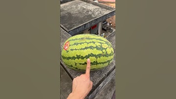 Experiment: Will watermelons and cantaloupes explode if rolled down a tall building? 🍉💥#shorts