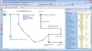 FluidFlow - Natural Gas Flare System - Dynamic Analysis
