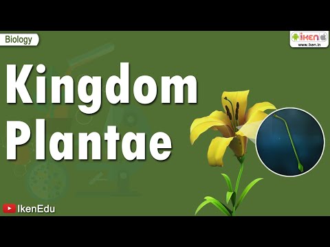 Kingdom Plantae | iKen | iKen App | iKen Edu