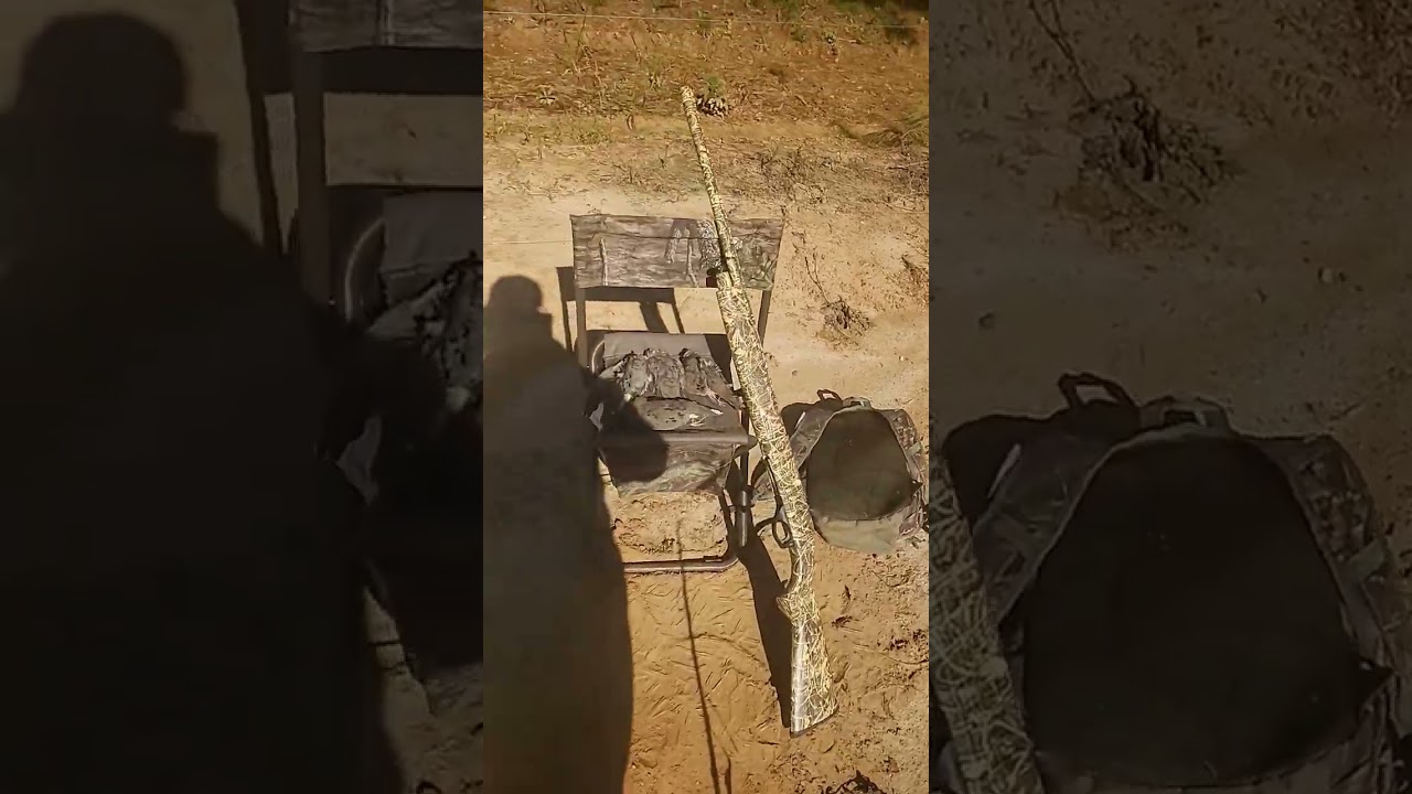 first day of dove season