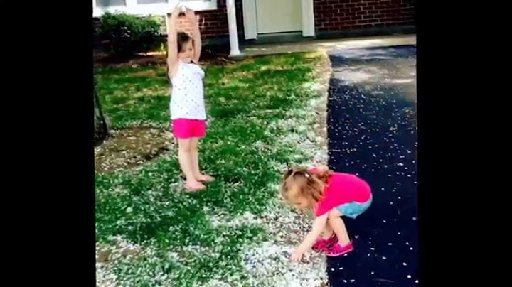 Kids Throwing Flower Petals